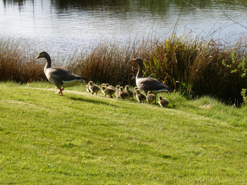 London Beach Country Hotel & Golf Club Tenterden Exterior foto